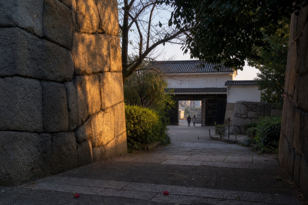 Wooden gates and white plaster walls of Himeji Castle seen through trees