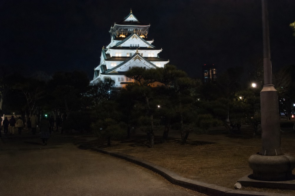 A floodlit white castle tower at night with a dark sky and silhouetted trees