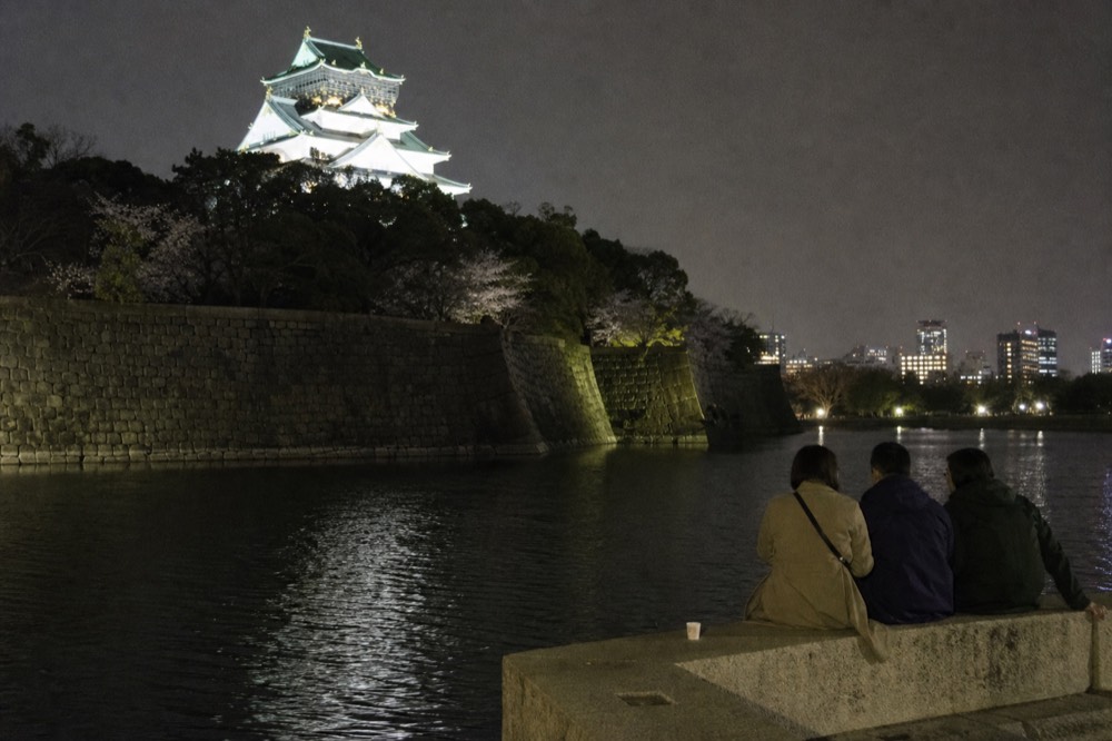 Osaka Castle tower floodlit at night above the dark tree line of the park