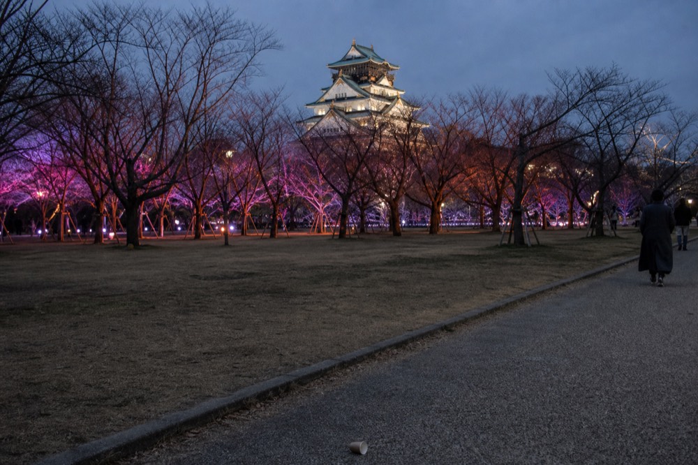 A winter light installation glowing across the lawn of Nishinomaru Garden with the castle tower behind
