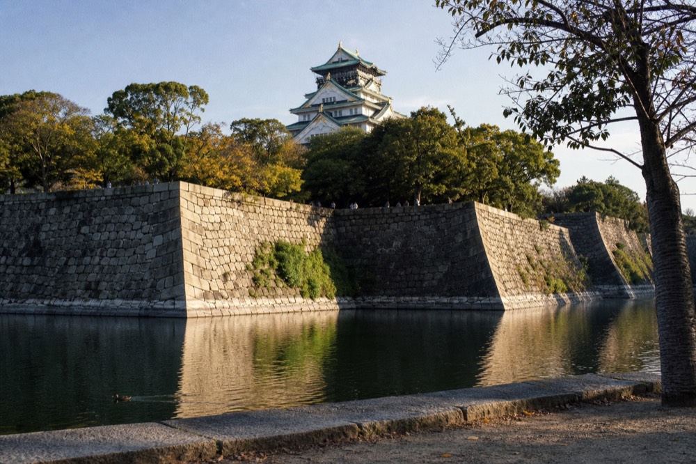 Osaka Castle white tower with green roof seen across the outer moat from park paths