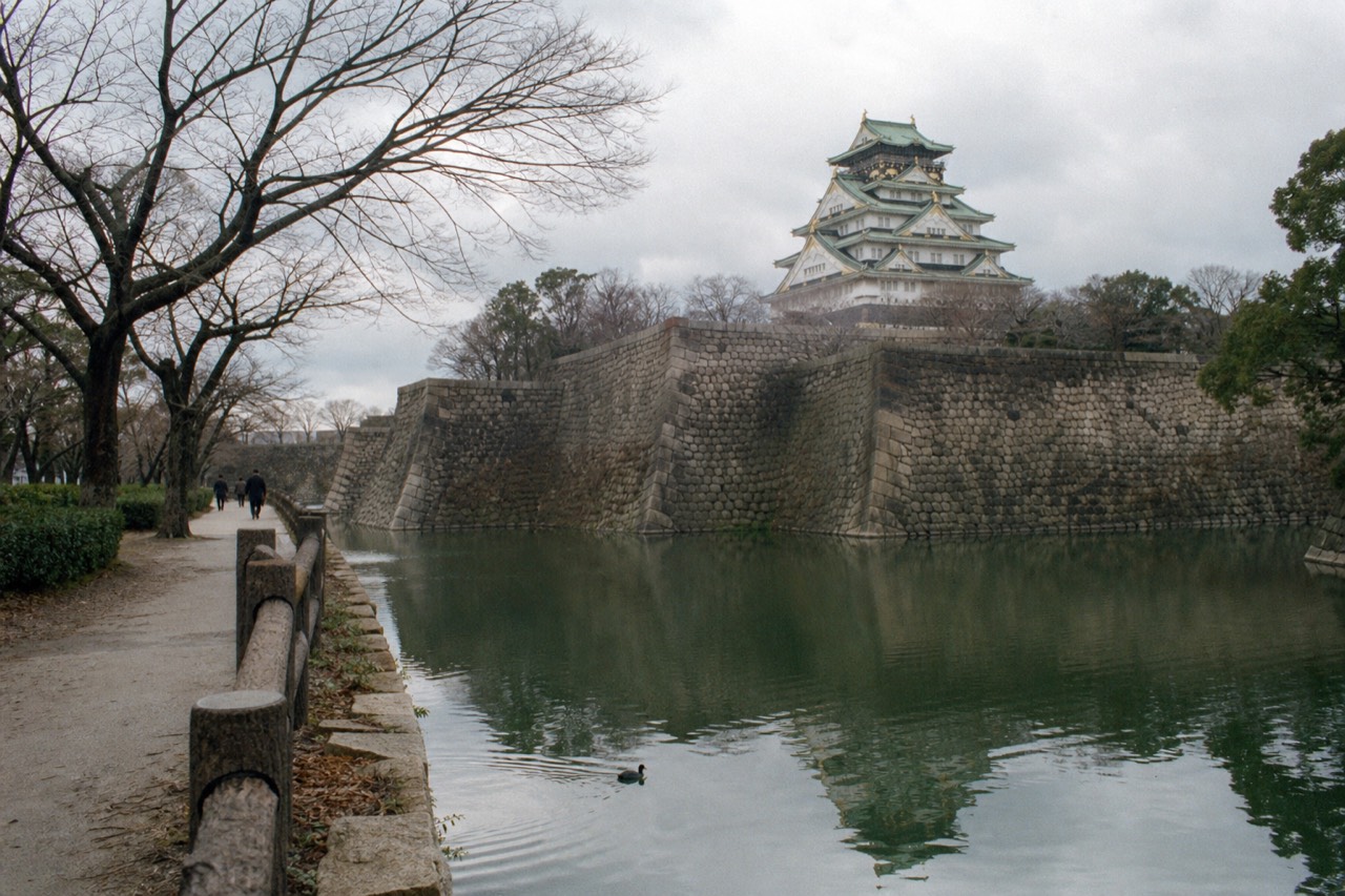 Osaka Castle Main Tower rising above the inner moat and treetops