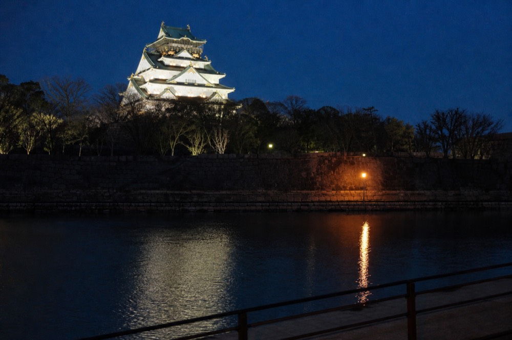 The castle tower illuminated at night above dark trees