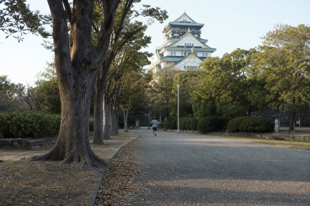 Osaka Castle Park path lined with trees leading toward the Main Tower in daylight