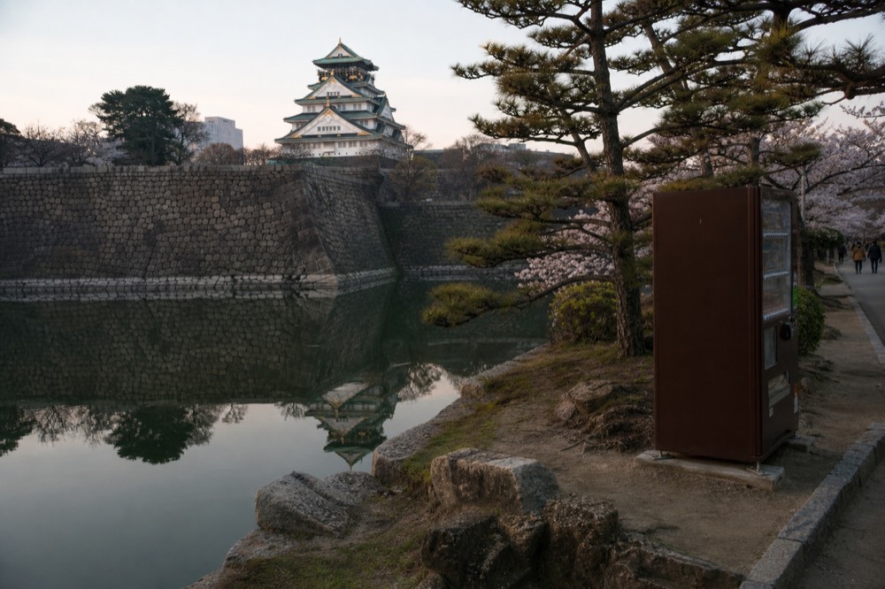 The white Osaka Castle Main Tower seen across the inner moat from the park path