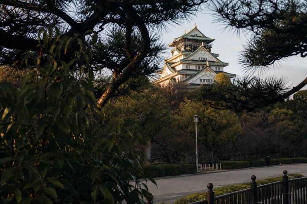 An ornate white tower with green roof tiers seen through dark pine branches
