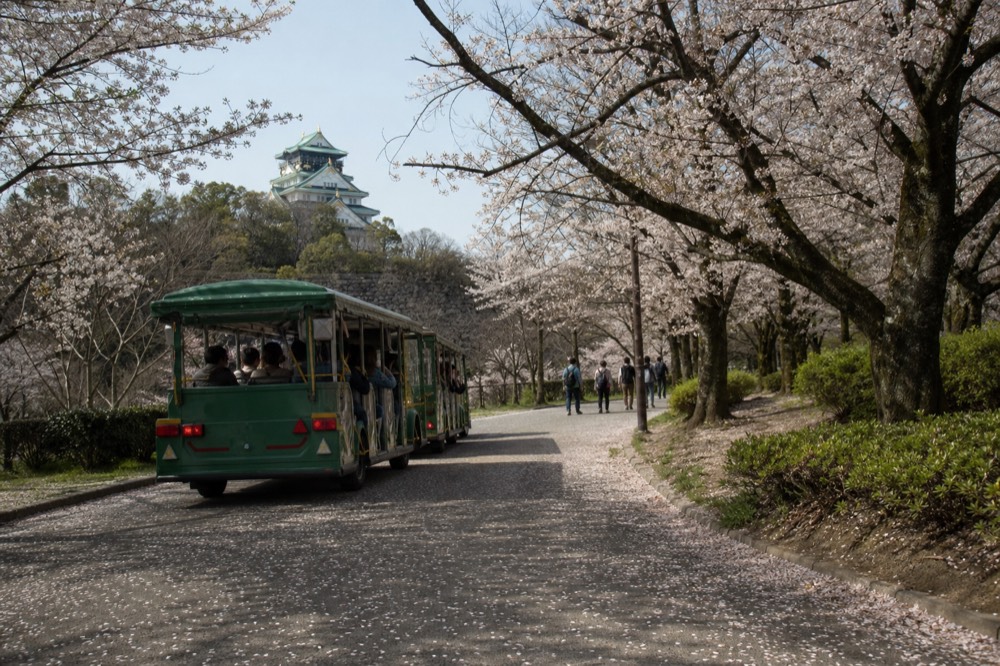 The Osaka Castle Park Road Train, a green open-sided vehicle with passengers, driving along a tree-lined path inside the park