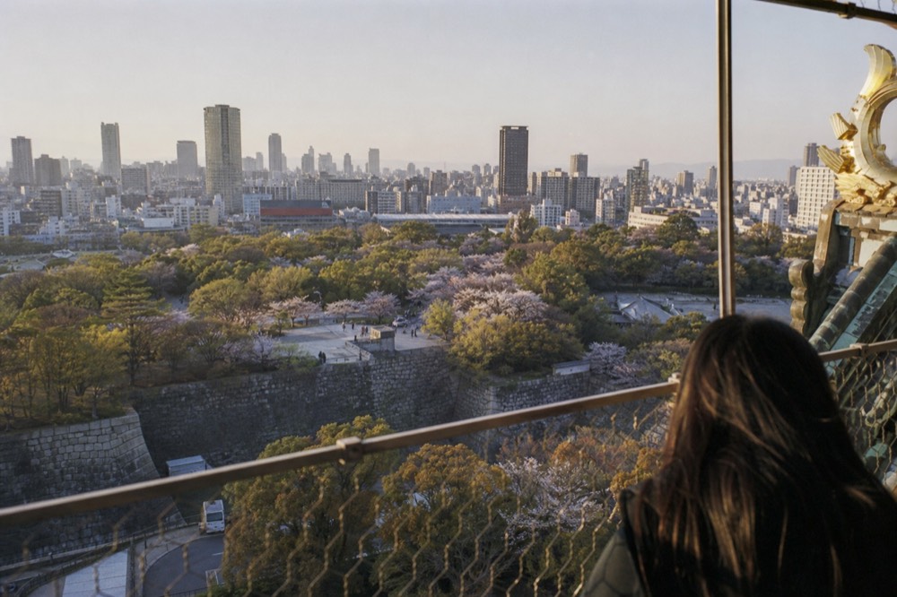View over Osaka Castle Park rooftops and treetops toward distant city towers