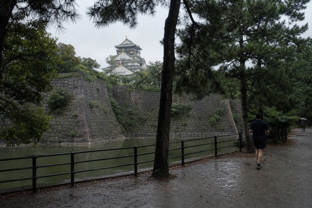 The inner moat stone walls and the tower seen through trees