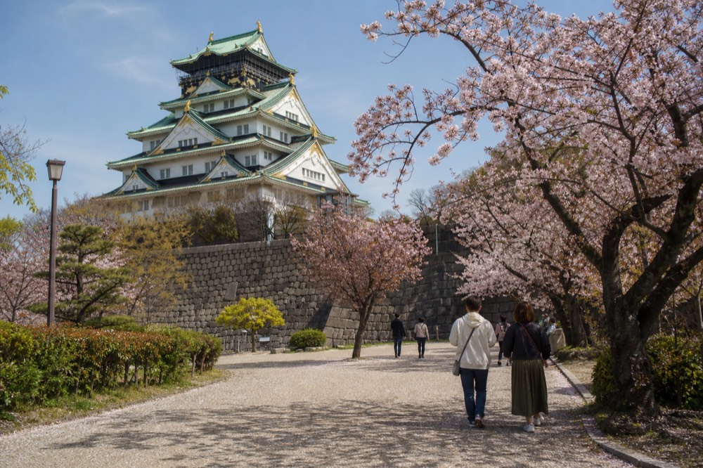 Cherry trees lining the free walking paths of Osaka Castle Park with the tower behind