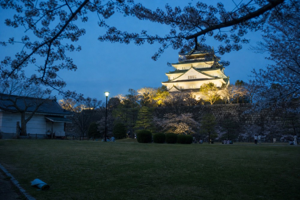 The lawn of Nishinomaru Garden with the floodlit tower rising behind the trees