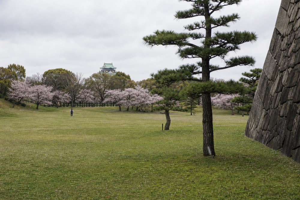A lawn with scattered trees and a stone wall under a wide sky inside a castle garden