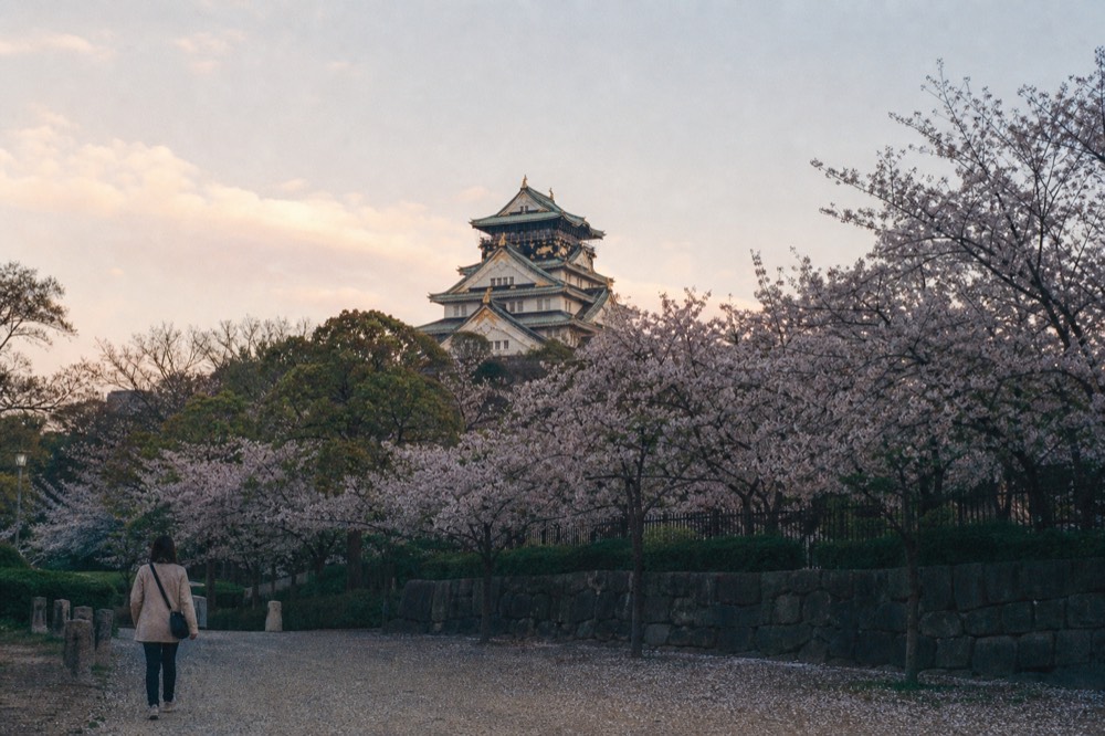 A white castle keep reflected above garden trees in evening light