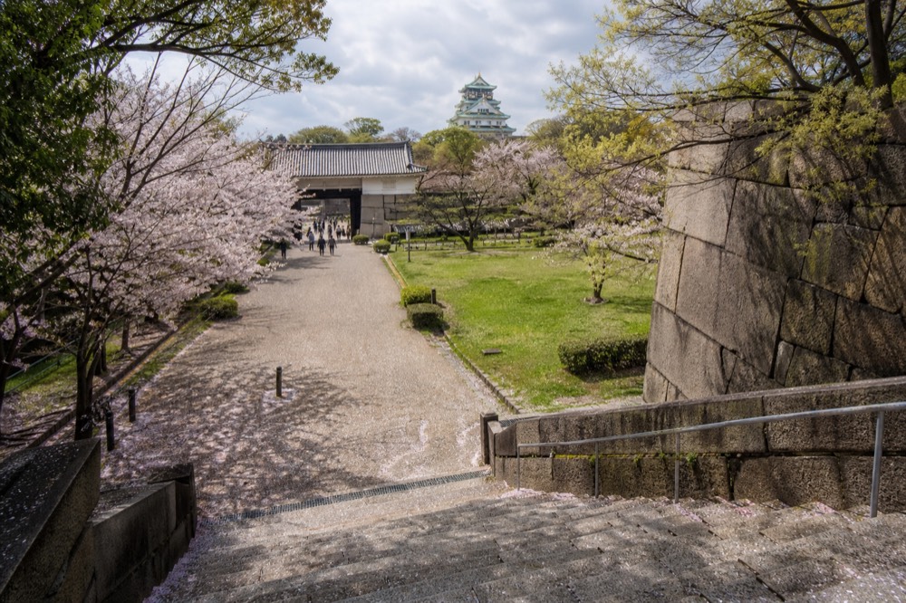 Comparison view of the three cherry blossom areas at Osaka Castle showing the lawns, garden, and gate approach