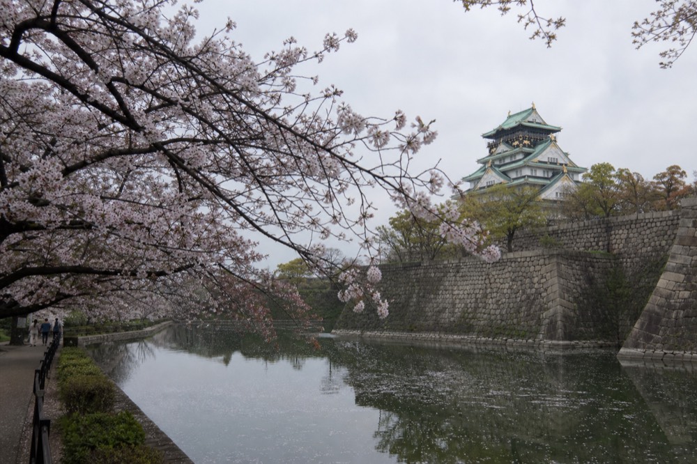 Cherry blossoms overhanging the inner moat with the Main Tower reflected in the water