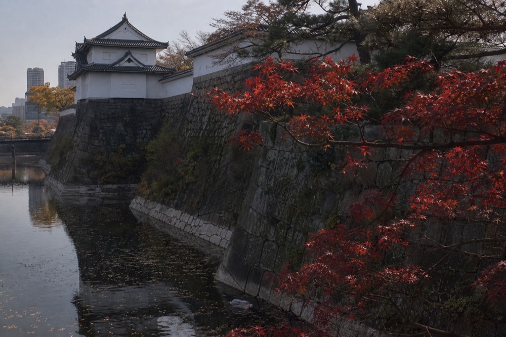 The moat and stone walls of Osaka Castle with autumn leaves in the foreground