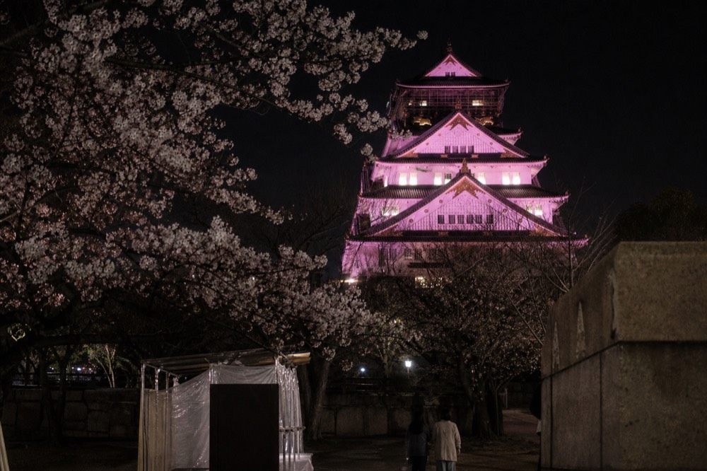 Osaka Castle tower lit up in pink floodlights at night with cherry blossoms framing the view