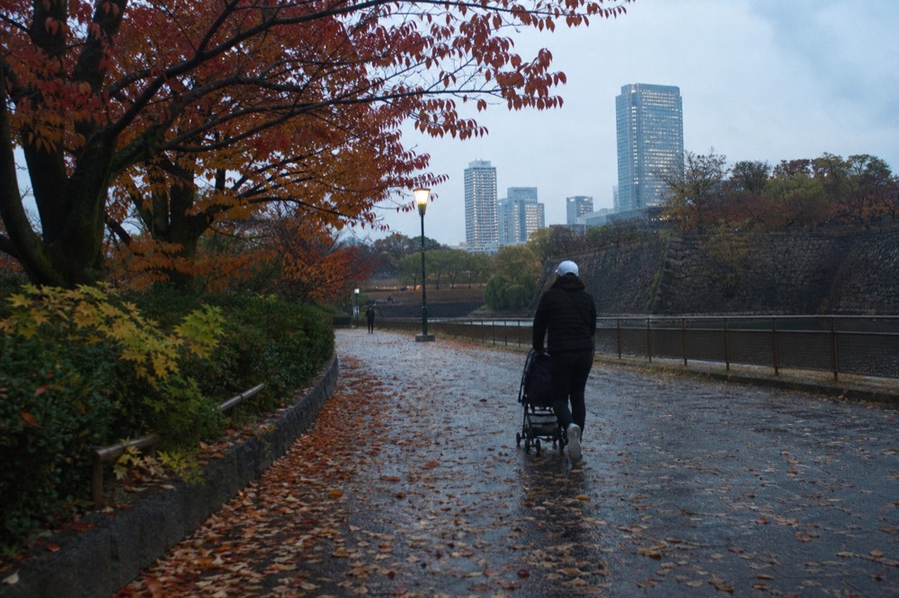 Along the outer moat paths, maple leaves turn colour in autumn while the Osaka skyline rises beyond the park trees.