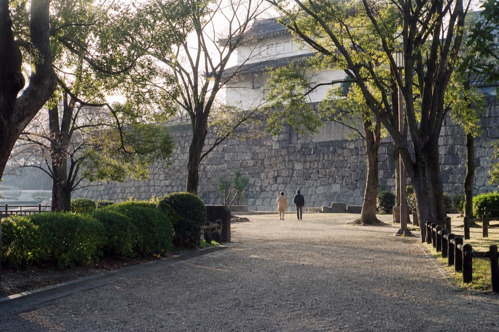 Visitors walking along a tree-lined path toward a castle gate in soft morning light